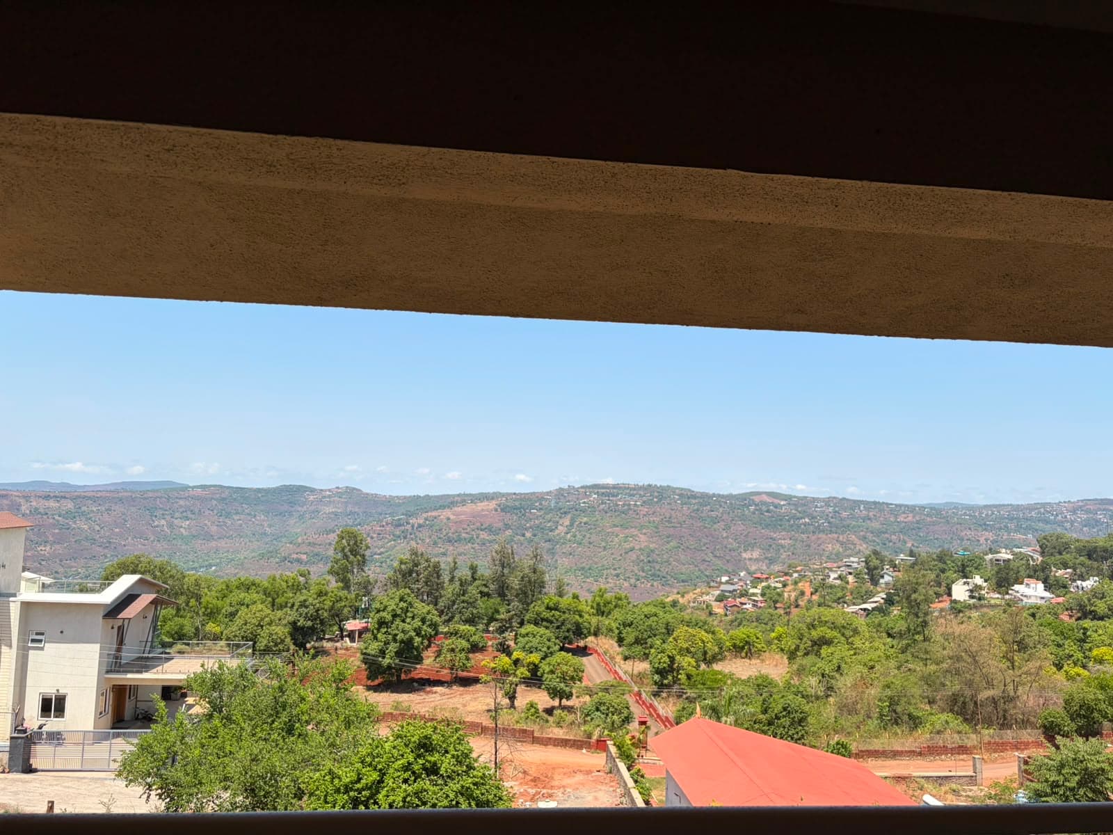 The view